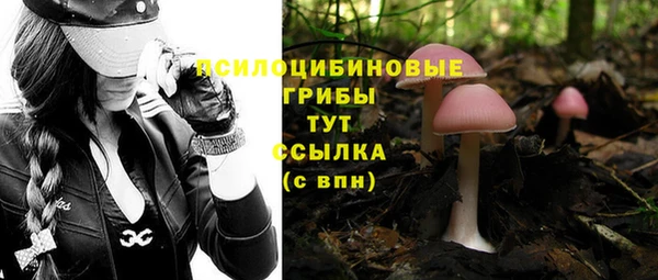 винт Абдулино