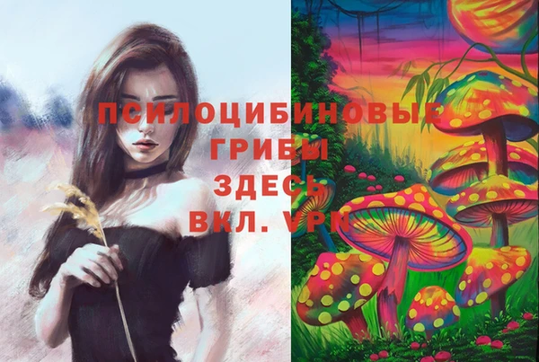 каннабис Абаза