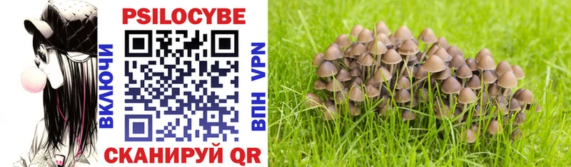 mega как зайти Углегорск Псилоцибиновые грибы Magic Shrooms